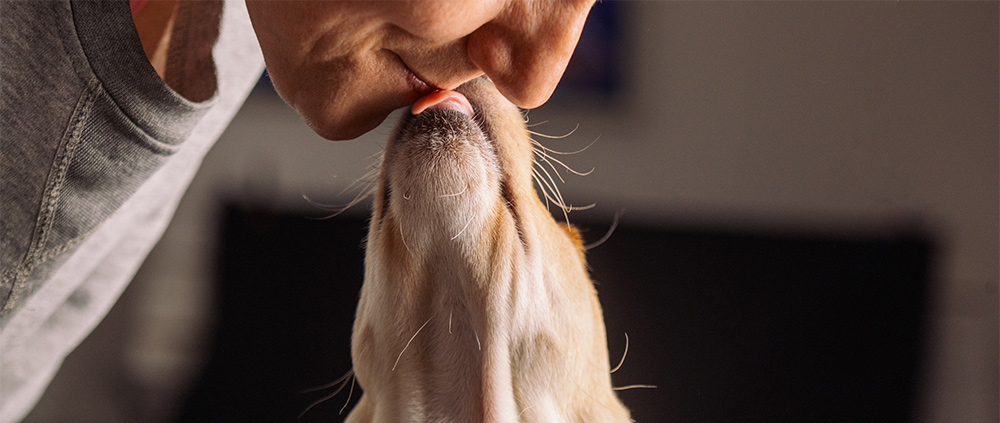 Man and Dog Kissing Each Other