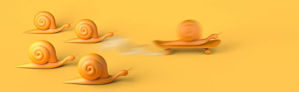 Snail outracing other snails