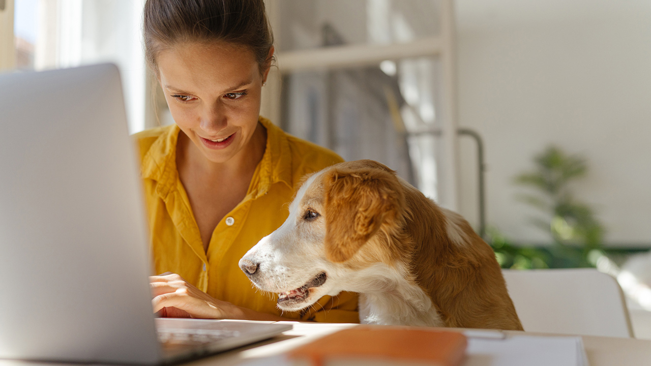Woman at laptop with Golden Retreiver
